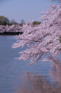 Washington DC